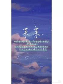 檬柠导航